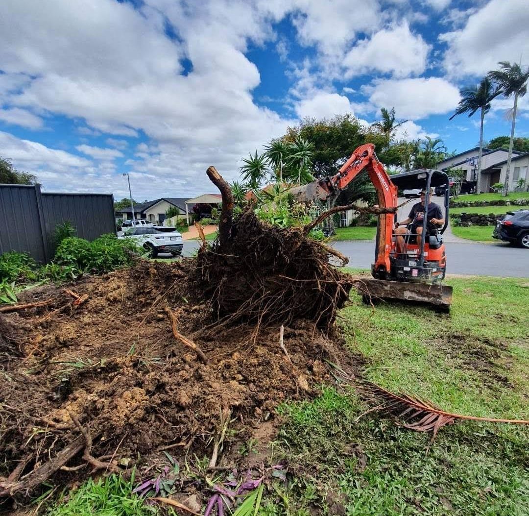 Tree Stump Removal Excavations Gold Coast